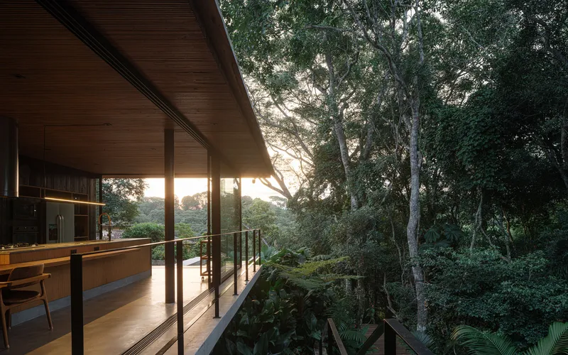 Open terrace with timber soffit and steel railing facing treetops at sunset