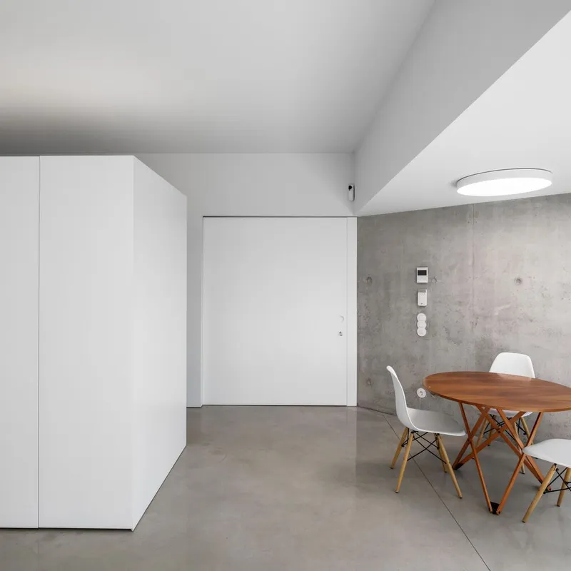 Dining area with exposed concrete wall and white storage volume under a vaulted ceiling