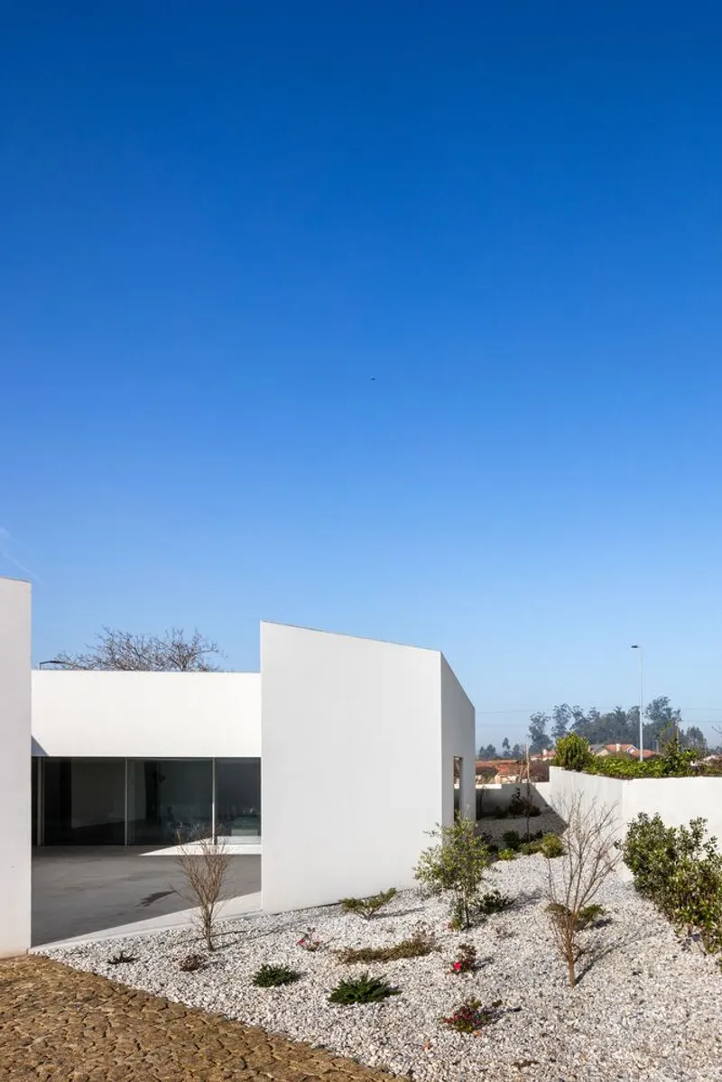 White courtyard walls with planted gravel bed and bare saplings under blue sky