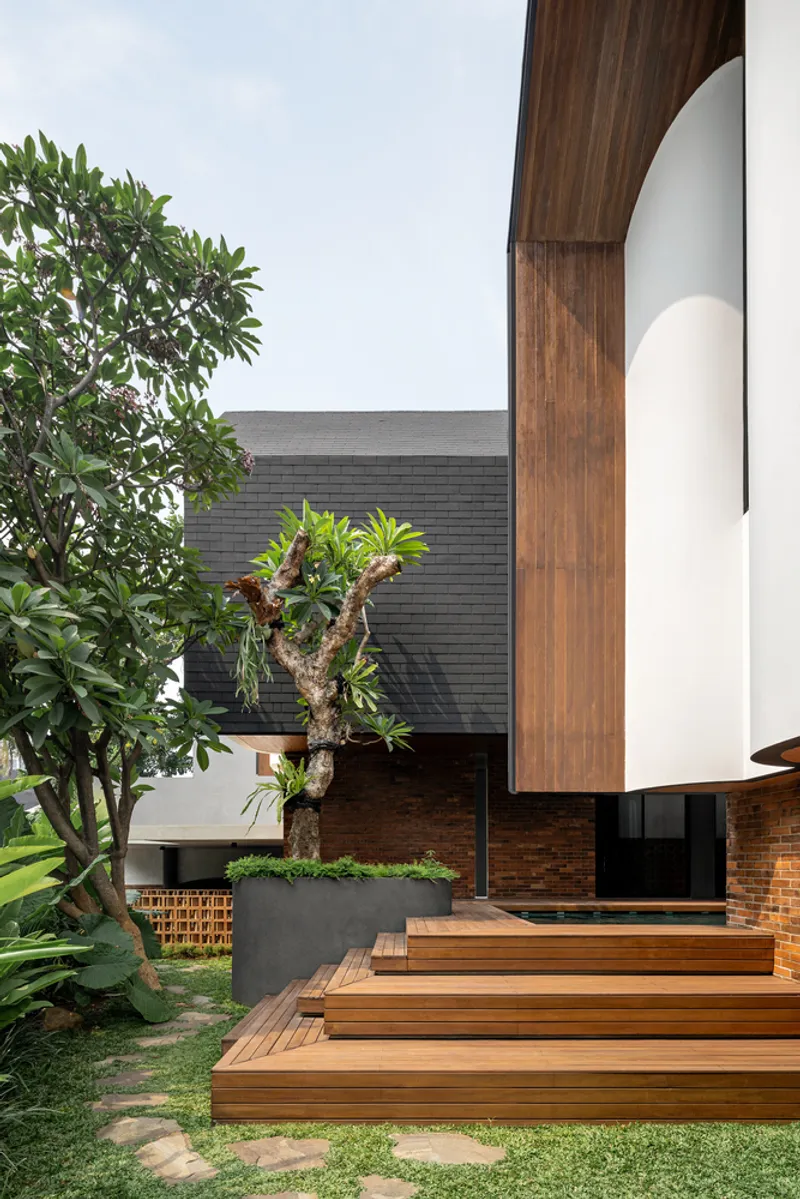 Timber deck steps leading to garden with white curved volume and mature trees overhead