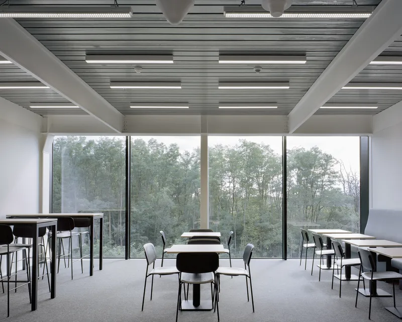 Dining area with floor-to-ceiling windows overlooking dense woodland under an exposed structural ceiling