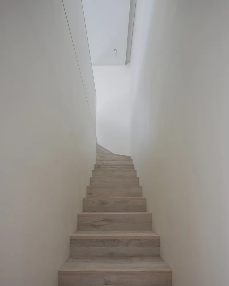 Timber staircase ascending between curved white walls toward a skylight opening above