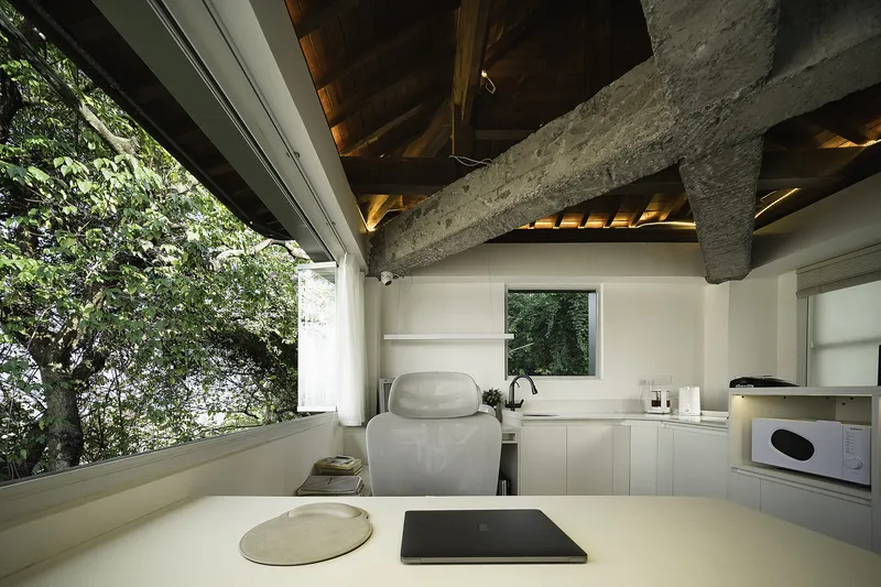 Interior workspace with exposed timber roof structure and large sliding windows overlooking green trees