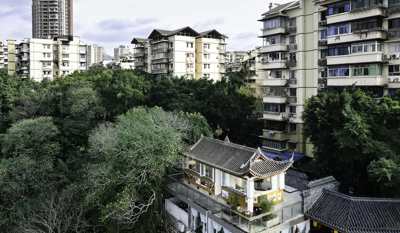 Elevated view of the traditional tile roof structure surrounded by dense tree canopy and residential towers