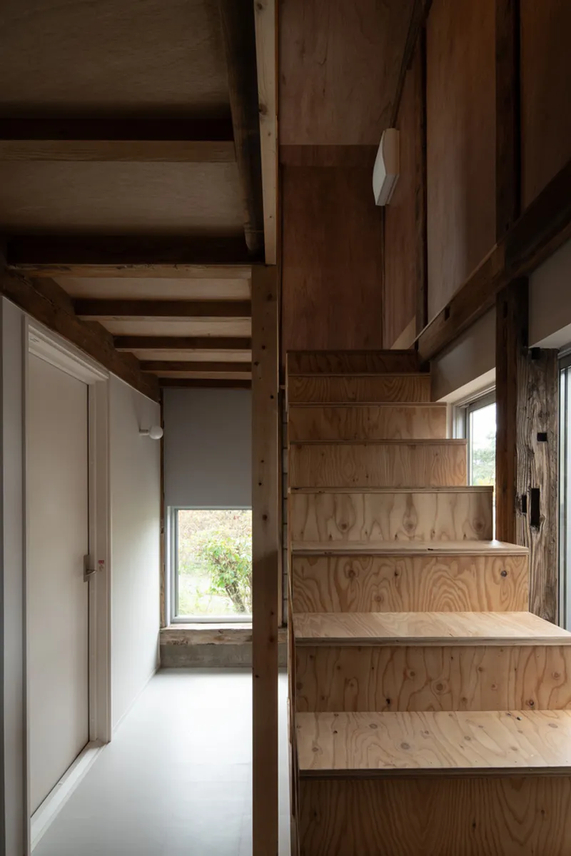 Plywood staircase ascending beneath exposed timber joists with natural light filtering through a corridor