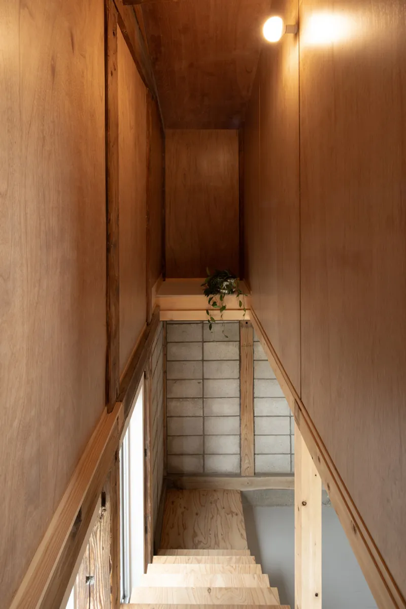Top-down view of narrow plywood stairwell with paper screens below and a small plant on the landing