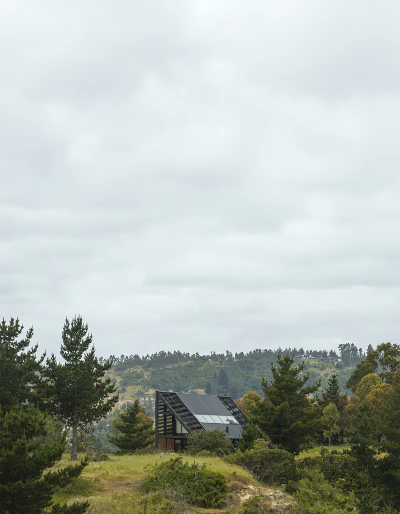 Side elevation of the dwelling with angled roof and louvered screens amid scrubland and pine trees