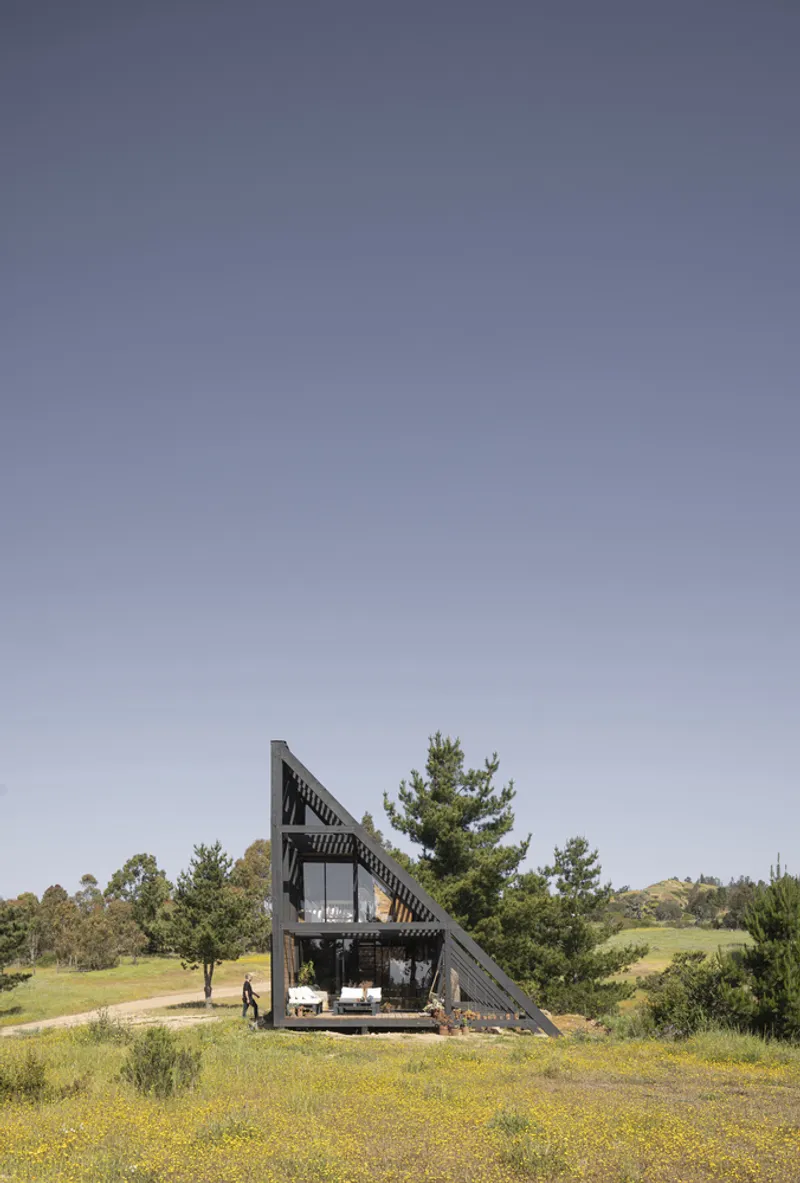 A-frame cabin with triangular glazed facade framed by pine trees and wildflowers in daylight