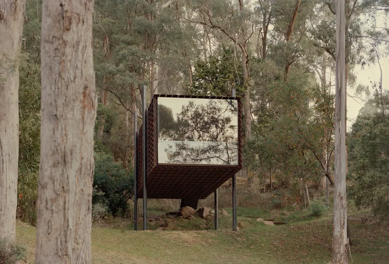 Cubic volume clad in weathered steel and glass perched on slender stilts among eucalyptus trees