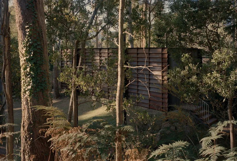 Horizontal timber louvre facade nestled among eucalyptus trunks and tree ferns on a hillside