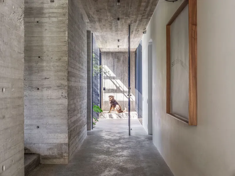 Concrete corridor with boardformed ceiling leading to a steel gate where a dog sits in sunlight