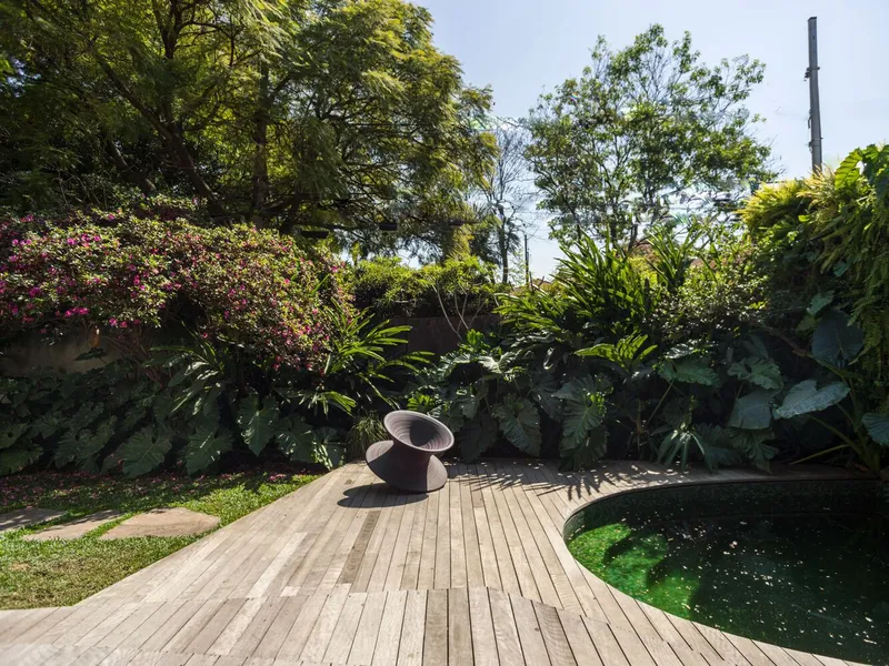 Curving timber deck alongside a reflecting pool edged by layered tropical planting and mature trees