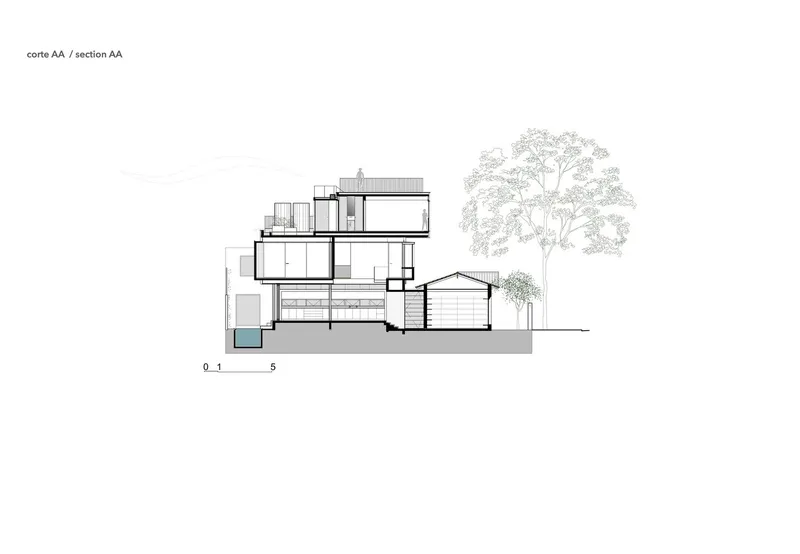 Section drawing showing stacked volumes with pool and mature trees flanking the composition