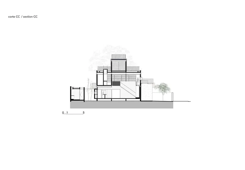 Section drawing displaying multi-level interior with staircases and rooftop volumes framed by trees