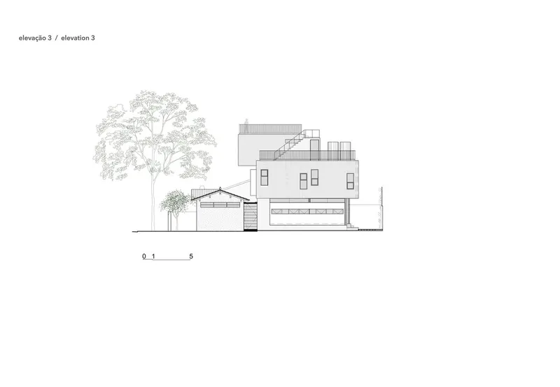 Elevation drawing presenting two-story volume with rooftop stair and garage beneath established tree