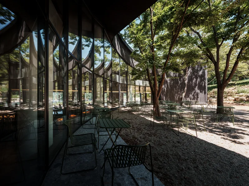 Covered terrace with diagonal timber branching columns and cafe seating under dappled tree shade