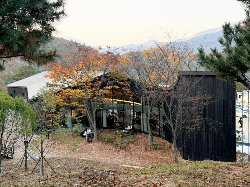Charred timber facade curving through a courtyard with deciduous trees in autumn foliage and visitors seated