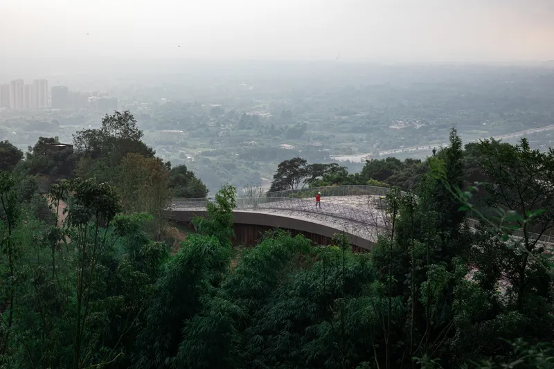Distant view of the curved roof canopy above bamboo groves with valley and city beyond