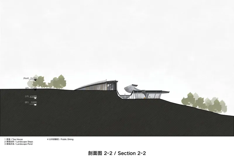Section drawing revealing two curved roof volumes separated across the sloping terrain with vegetation