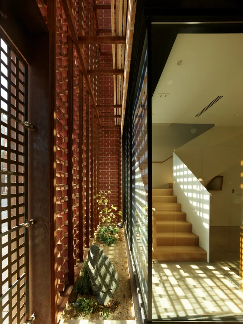 Narrow planting strip between perforated brick screens and interior staircase in direct sunlight
