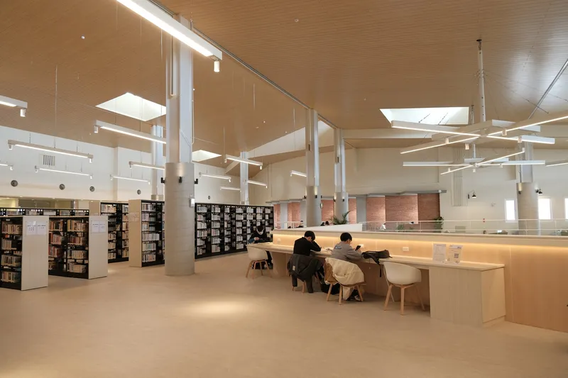 Library study tables with white columns and wood ceiling panels illuminated by skylights and linear pendants