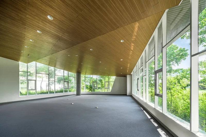 Curved interior space with timber slatted ceiling and floor-to-ceiling windows framing lush green summer foliage