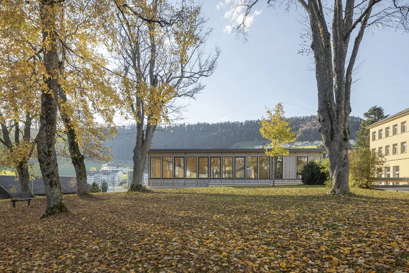 Timber-clad pavilion among deciduous trees with fallen yellow leaves and distant hillside
