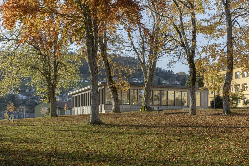 Low-profile glass and timber pavilion set in park with mature trees under autumn foliage