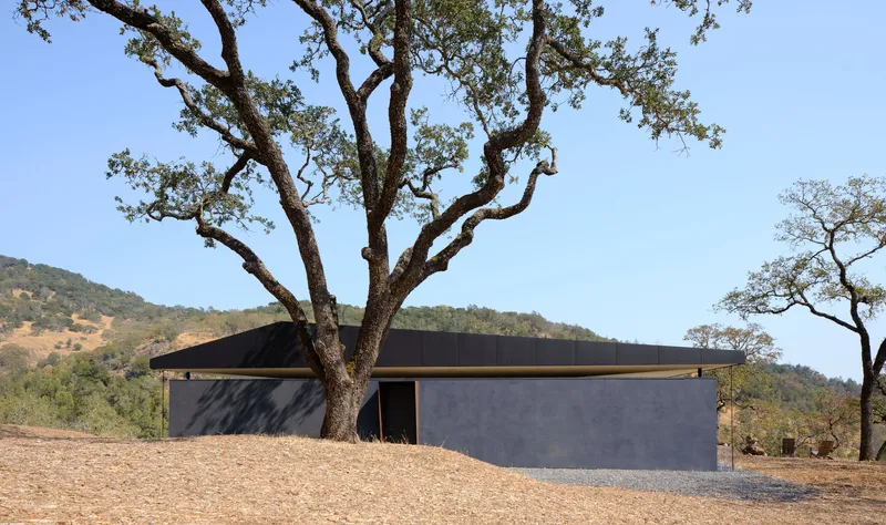 Low-slung structure with dark metal roof and concrete walls beneath an oak tree in dry hillside terrain