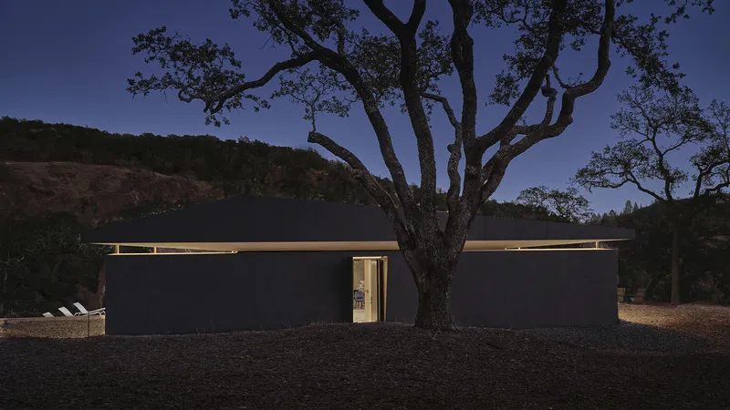 Rear facade with horizontal roof soffit illuminated beneath a mature oak tree at twilight