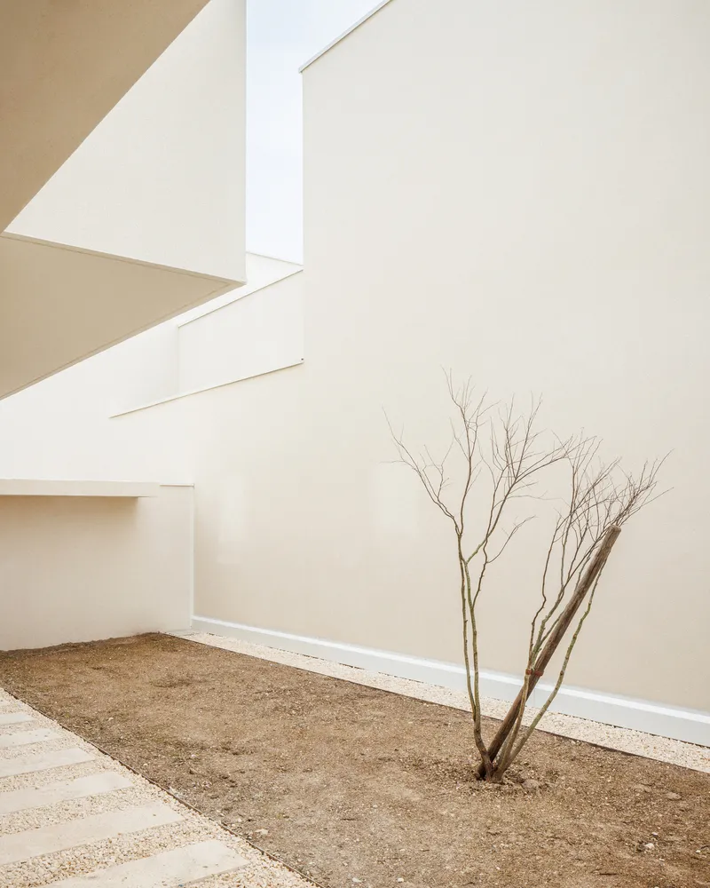 Courtyard corner with white stucco walls and a bare tree in gravel ground plane