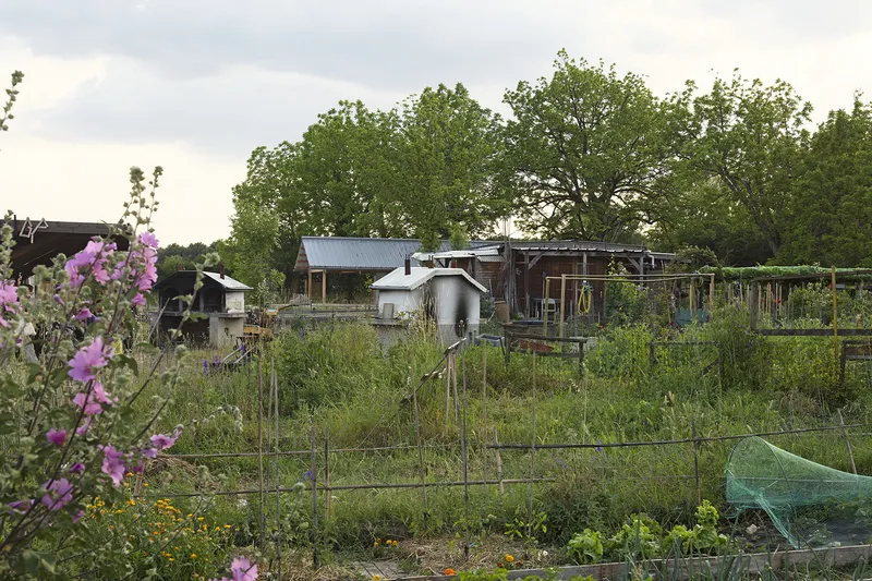 Distant view of mixed metal and timber structures across vegetable gardens with wire fencing and pink flowers