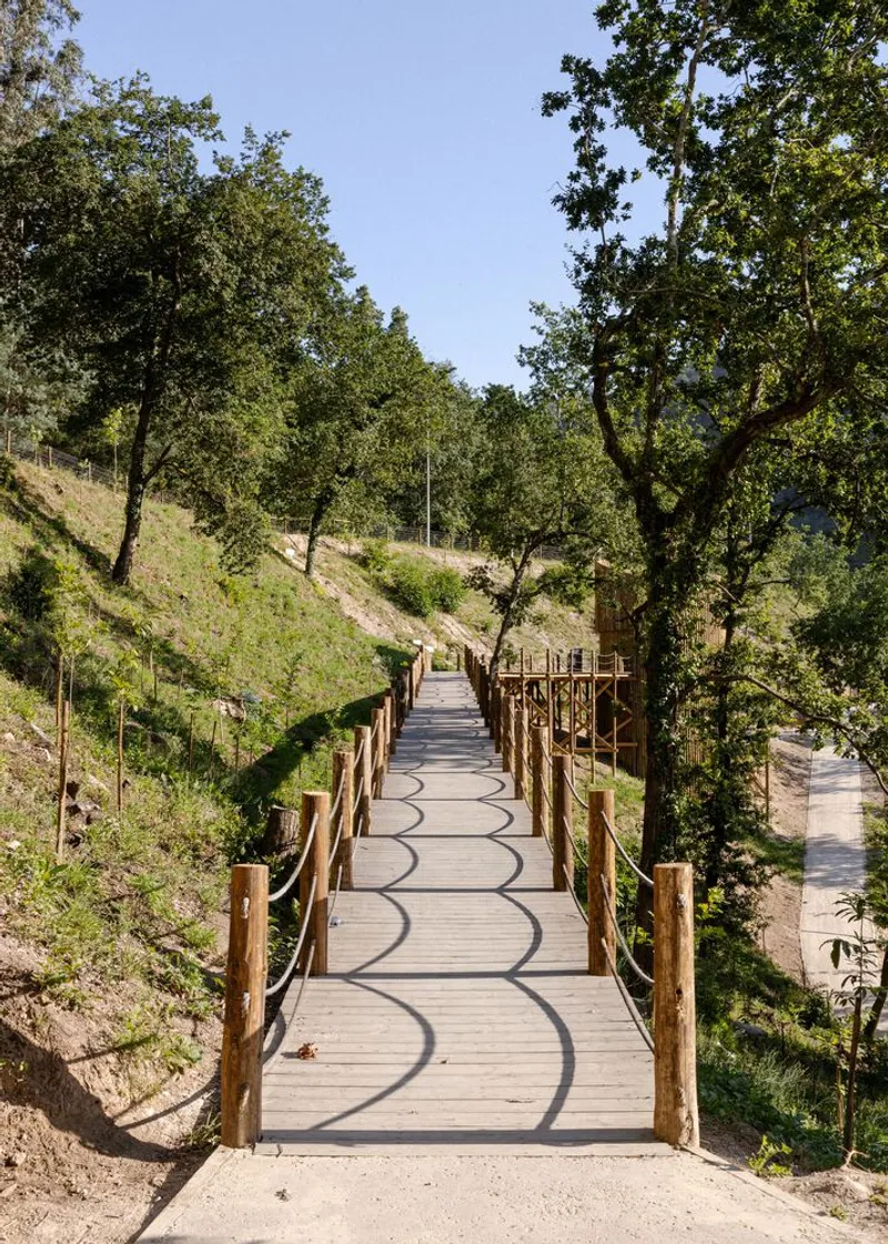 Timber boardwalk with cable railings winding through a forested hillside under dappled sunlight