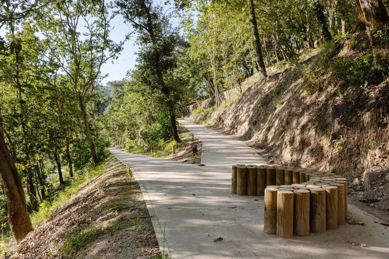 Concrete path with clustered log seating elements along a wooded slope in summer