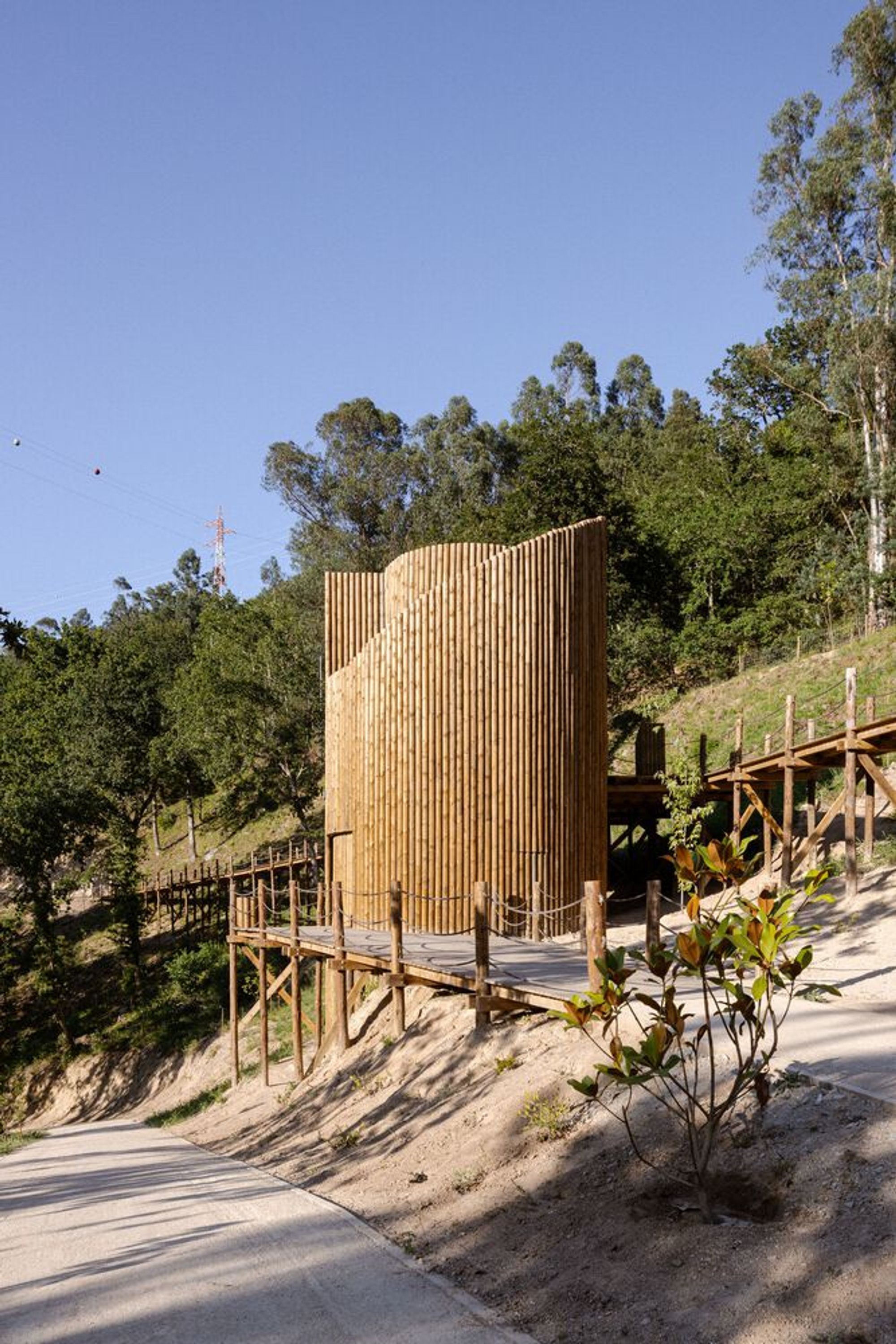 Paradoxo Arquitectura Grows a Timber Tower from a Rewilded Riverside Park in Northern Portugal