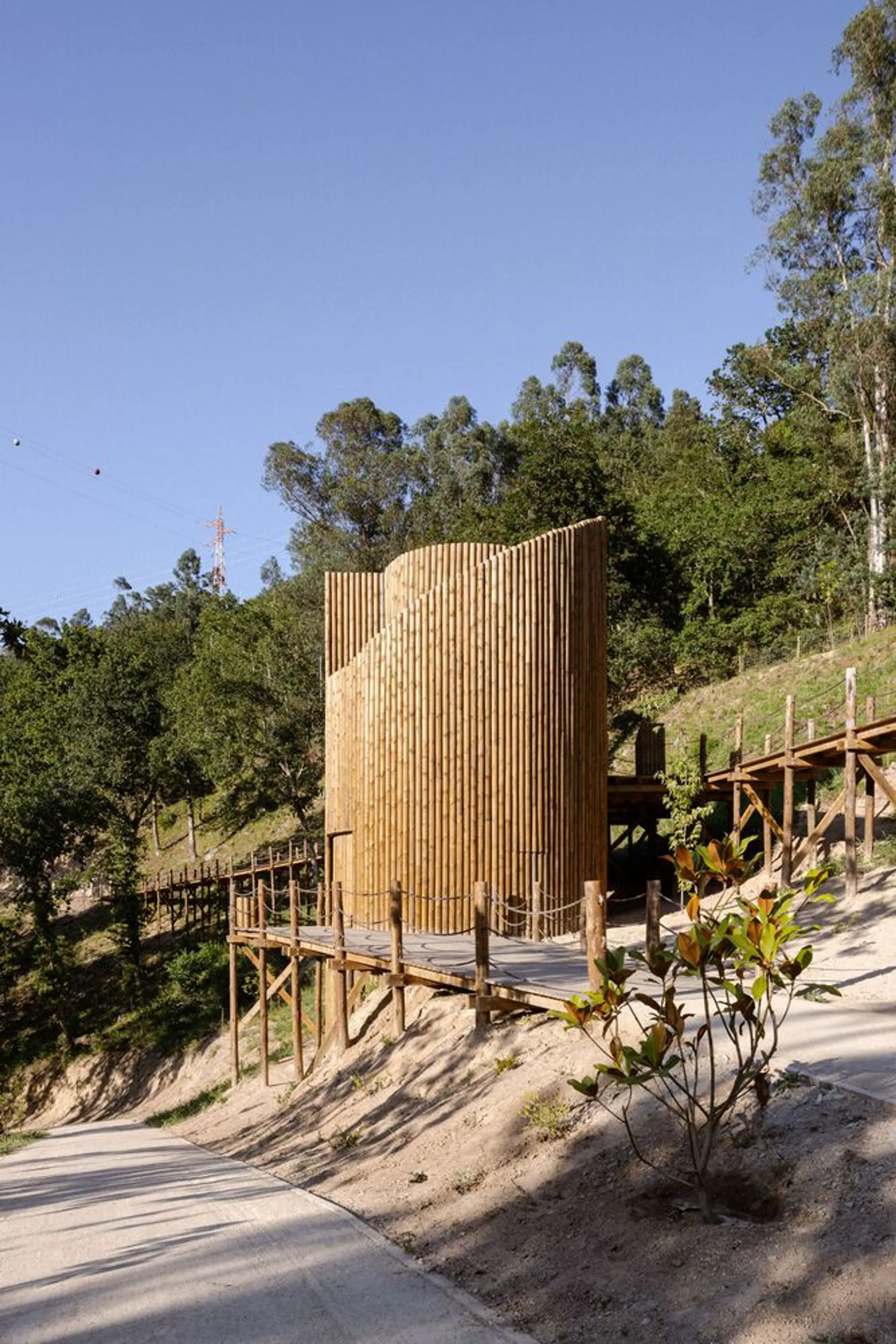 Paradoxo Arquitectura Grows a Timber Tower from a Rewilded Riverside Park in Northern Portugal