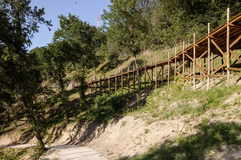 Timber scaffolding structure stepping down the steep grassy slope alongside eucalyptus trees