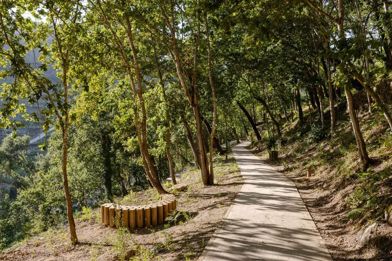 Concrete pathway winding through dappled forest with cylindrical timber log bench alongside