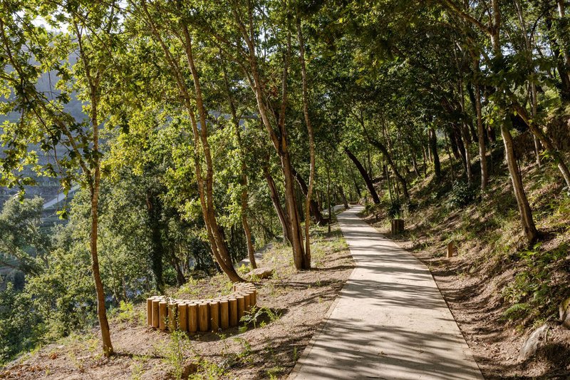 Concrete pathway winding through dappled forest with cylindrical timber log bench alongside
