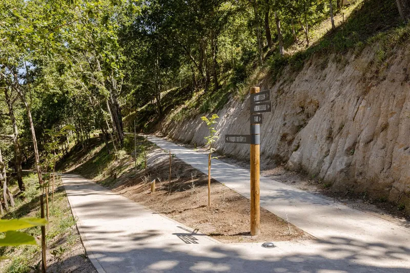 Forked concrete pathway with timber signage post beneath the tree canopy and exposed earth bank