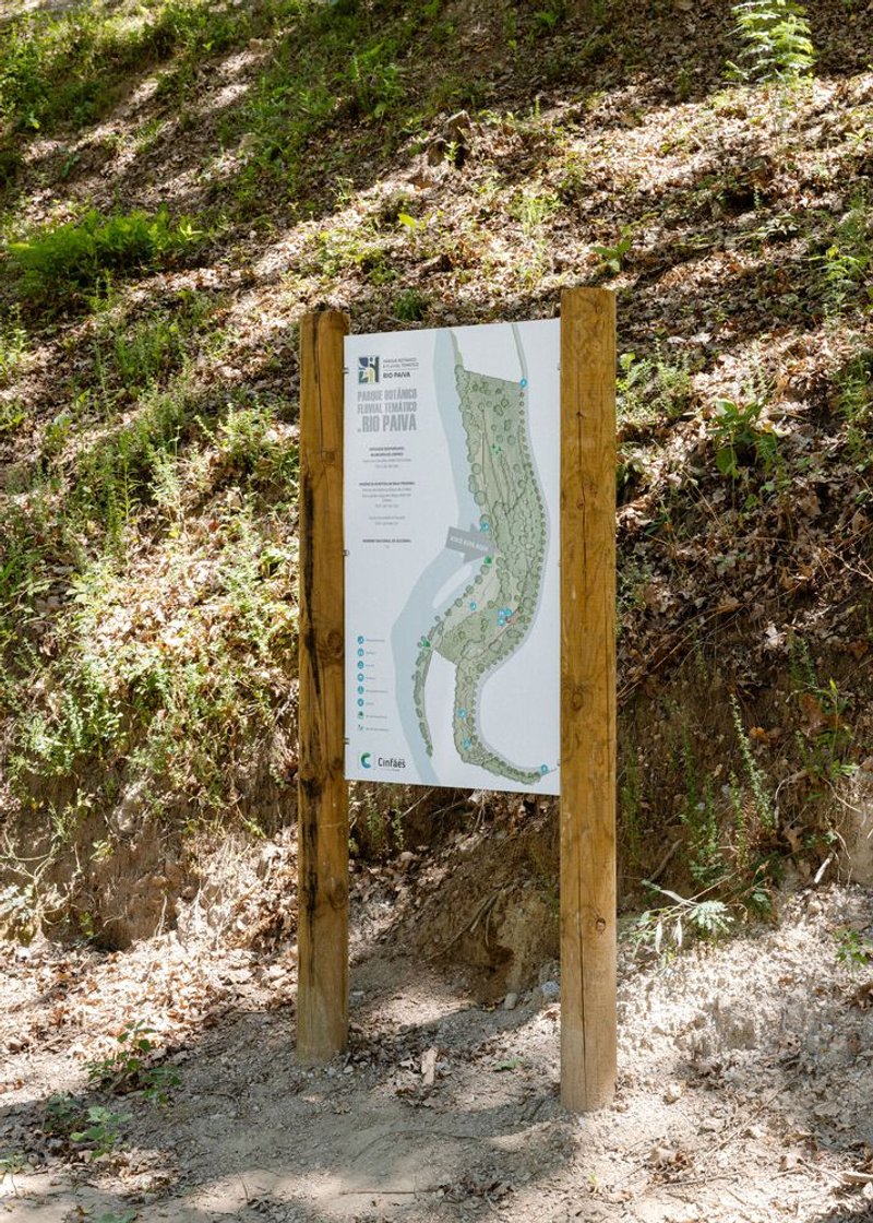 Timber-framed site map mounted on twin posts beside a sloped embankment with dappled sunlight and leaf litter