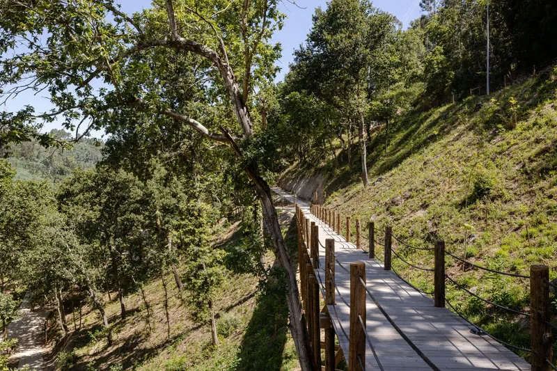 Elevated timber boardwalk with rope railings curving through a wooded hillside under afternoon light