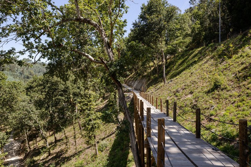 Elevated timber boardwalk with rope railings curving through a wooded hillside under afternoon light