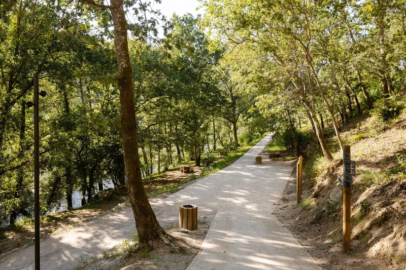 Concrete pathway winding through dappled forest shade with timber benches and trash receptacles along the edge