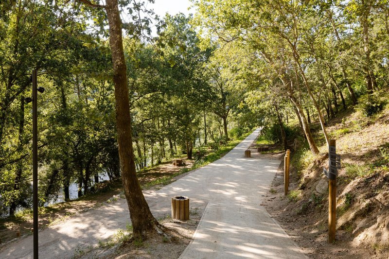 Concrete pathway winding through dappled forest shade with timber benches and trash receptacles along the edge
