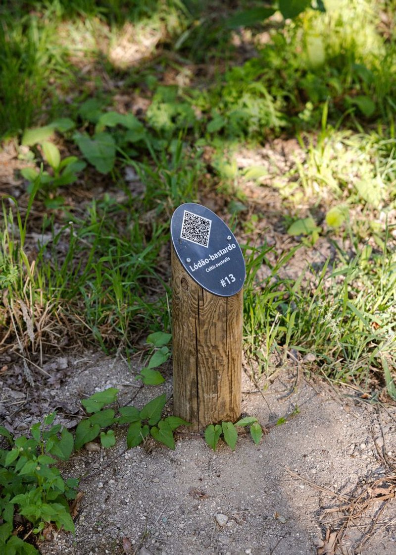 Numbered trail marker with QR code affixed to a timber post surrounded by ground vegetation