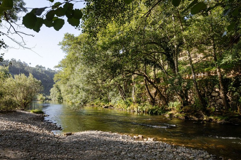Riverside view with gravel shore and overhanging trees framing a waterway on a hazy afternoon