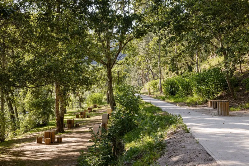Paved walkway alongside timber picnic tables beneath mature trees near a hillside residence