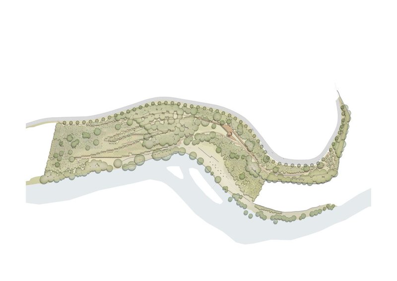 Axonometric drawing of terraced landscape with tree canopy and curved pathways along water edge