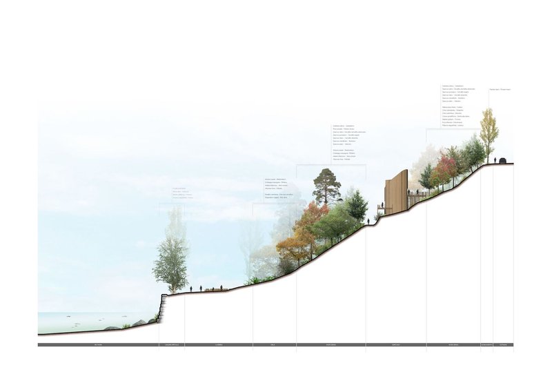 Section drawing illustrating a planted hillside with timber structure ascending toward the ridgeline